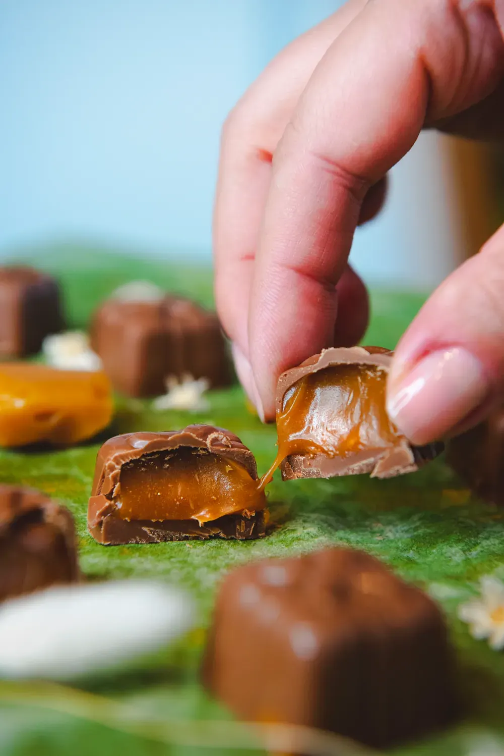 Mână care ia o bomboană de ciocolată cu lapte și caramel Choco Toni, cu caramel care curge